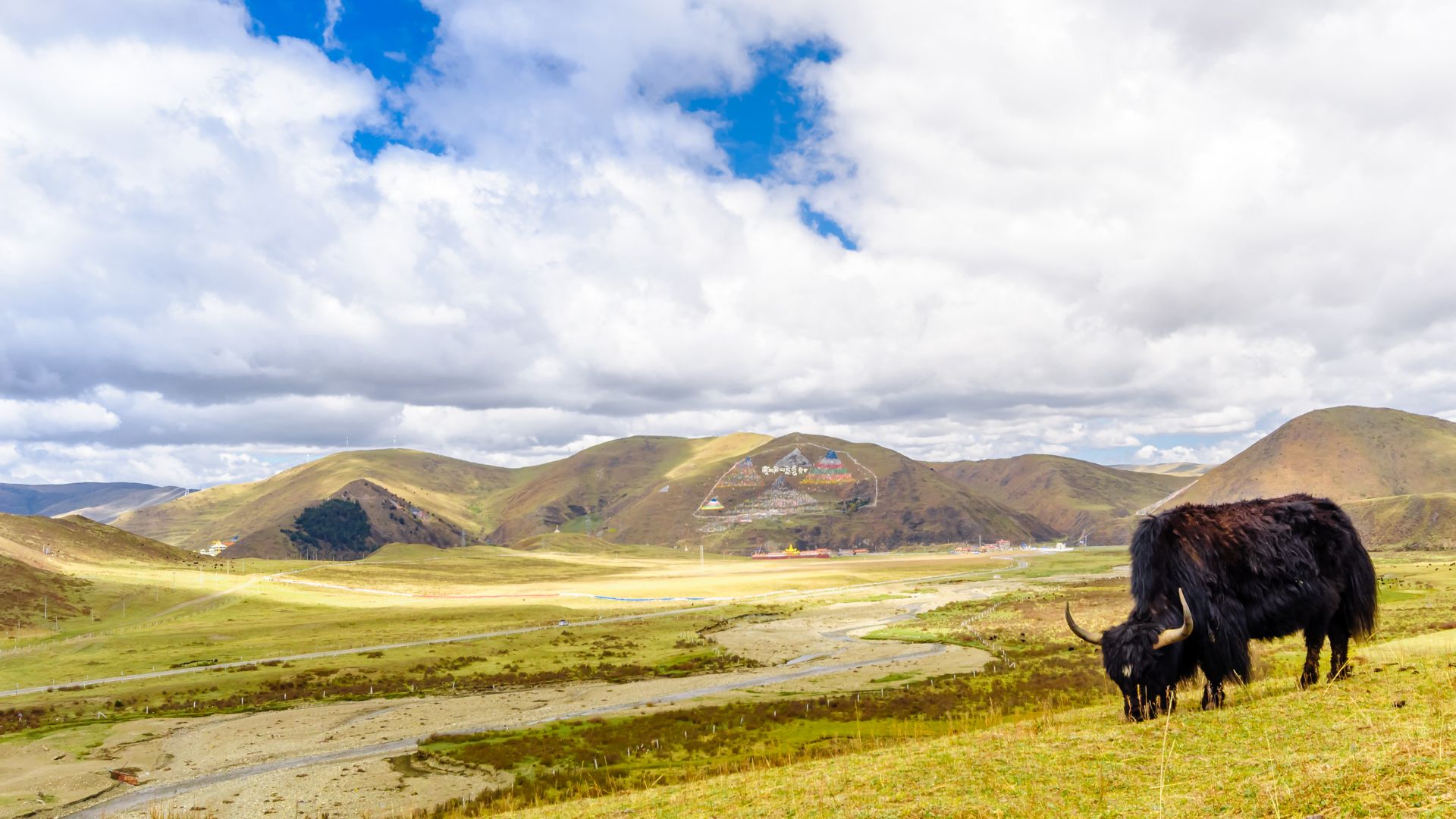 9‑Day Chengdu, Dujiangyan, Western Sichuan and Daocheng Yading Private Tour